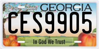 GA license plate CES9905