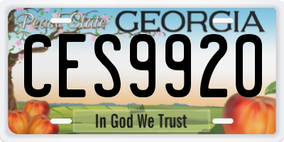 GA license plate CES9920