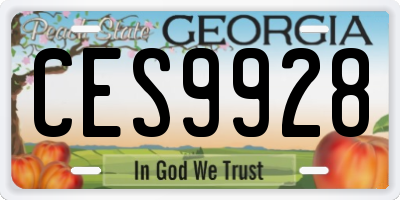 GA license plate CES9928