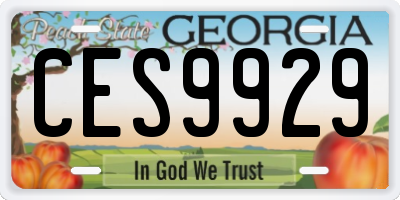 GA license plate CES9929