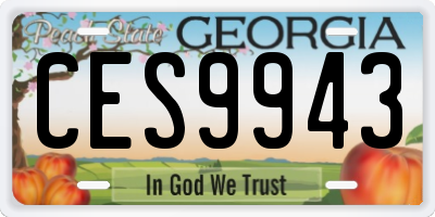 GA license plate CES9943
