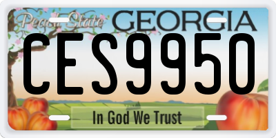 GA license plate CES9950