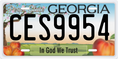 GA license plate CES9954