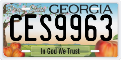 GA license plate CES9963