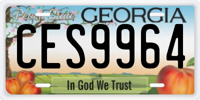 GA license plate CES9964