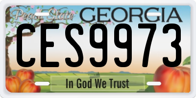 GA license plate CES9973