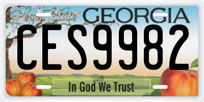 GA license plate CES9982