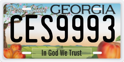 GA license plate CES9993