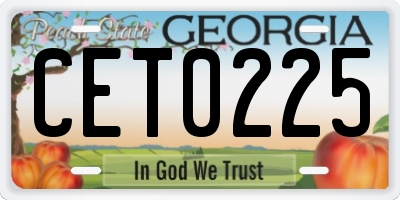 GA license plate CET0225