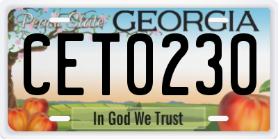 GA license plate CET0230