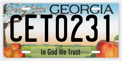 GA license plate CET0231