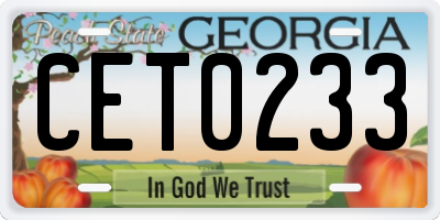 GA license plate CET0233