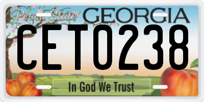 GA license plate CET0238