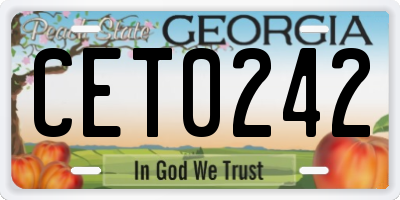 GA license plate CET0242