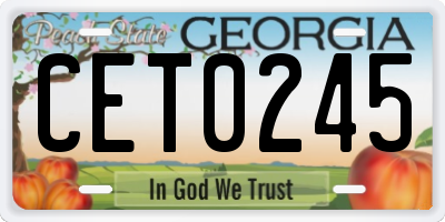 GA license plate CET0245