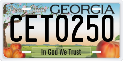 GA license plate CET0250