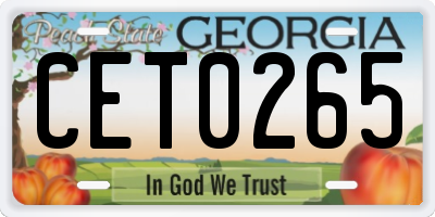 GA license plate CET0265
