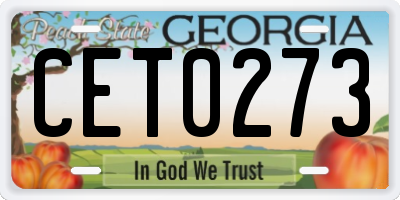 GA license plate CET0273