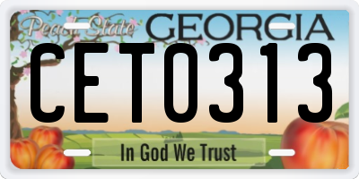 GA license plate CET0313