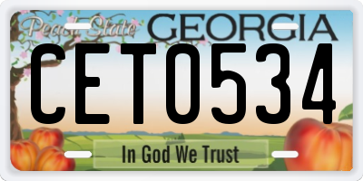 GA license plate CET0534