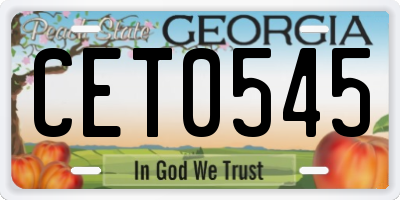 GA license plate CET0545