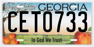 GA license plate CET0733