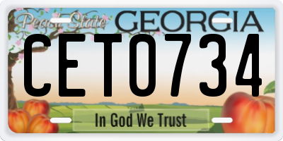 GA license plate CET0734