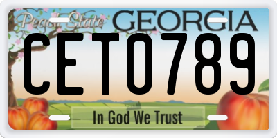 GA license plate CET0789