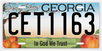 GA license plate CET1163