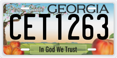 GA license plate CET1263