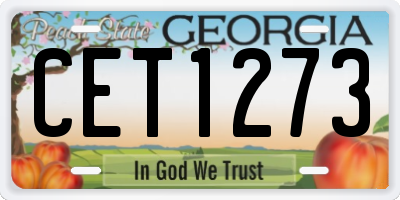 GA license plate CET1273