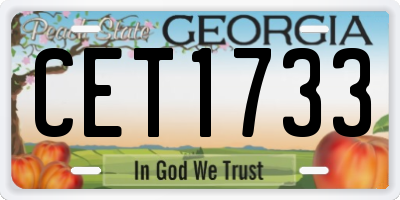 GA license plate CET1733