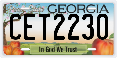 GA license plate CET2230