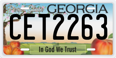 GA license plate CET2263