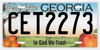 GA license plate CET2273