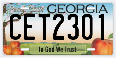 GA license plate CET2301
