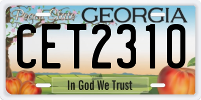 GA license plate CET2310