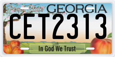 GA license plate CET2313