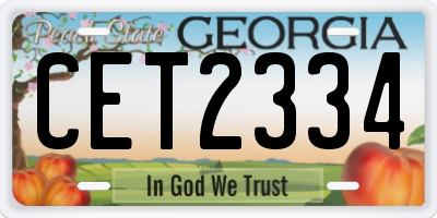 GA license plate CET2334