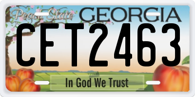 GA license plate CET2463