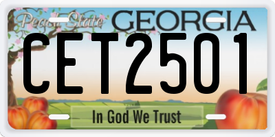 GA license plate CET2501