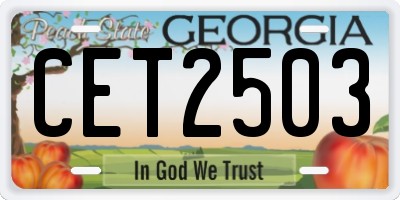 GA license plate CET2503