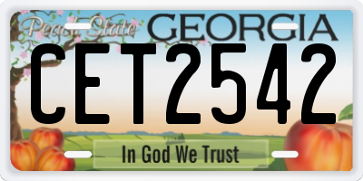 GA license plate CET2542