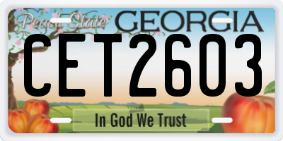 GA license plate CET2603
