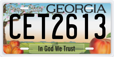 GA license plate CET2613