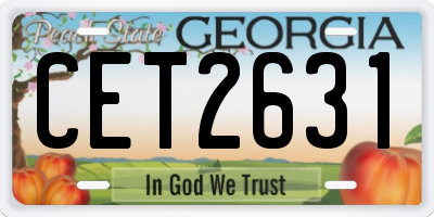GA license plate CET2631