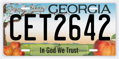 GA license plate CET2642