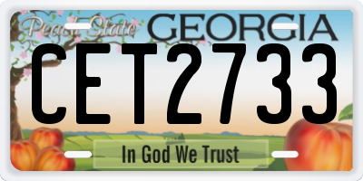 GA license plate CET2733
