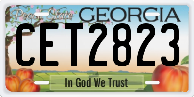 GA license plate CET2823