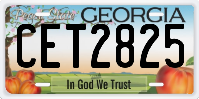 GA license plate CET2825